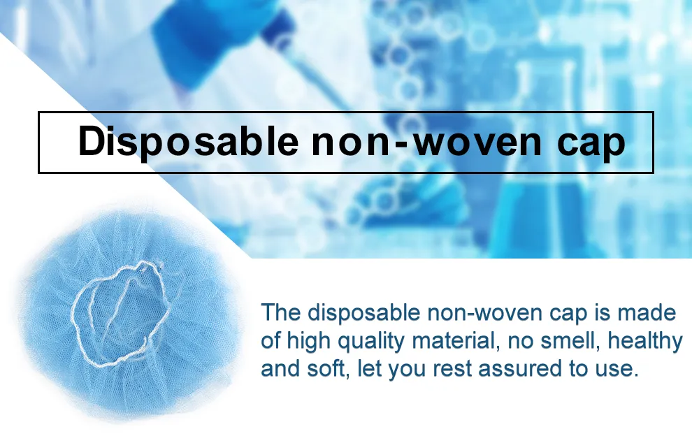 Disposable Nylon Hair Net 01