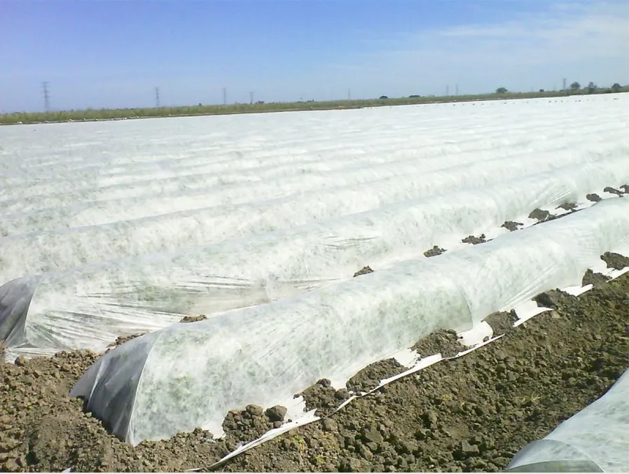 What are the common uses of non woven fabrics? 4 agriculture