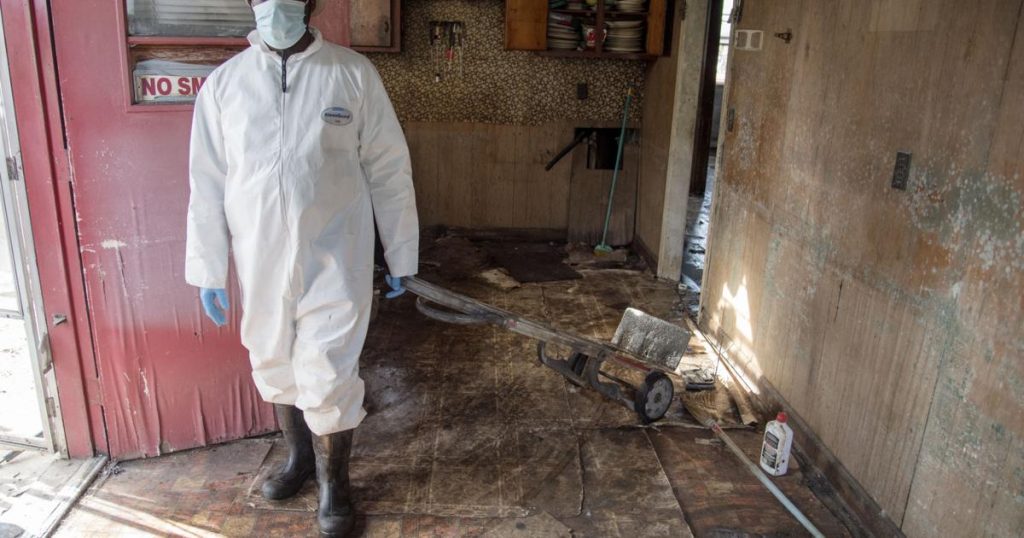 protective equipment for mold removal