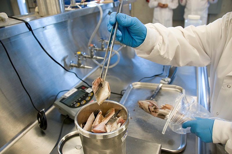 Does protective clothing reduce the risk of food contamination?